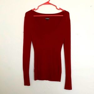 Express V-Neck sweater